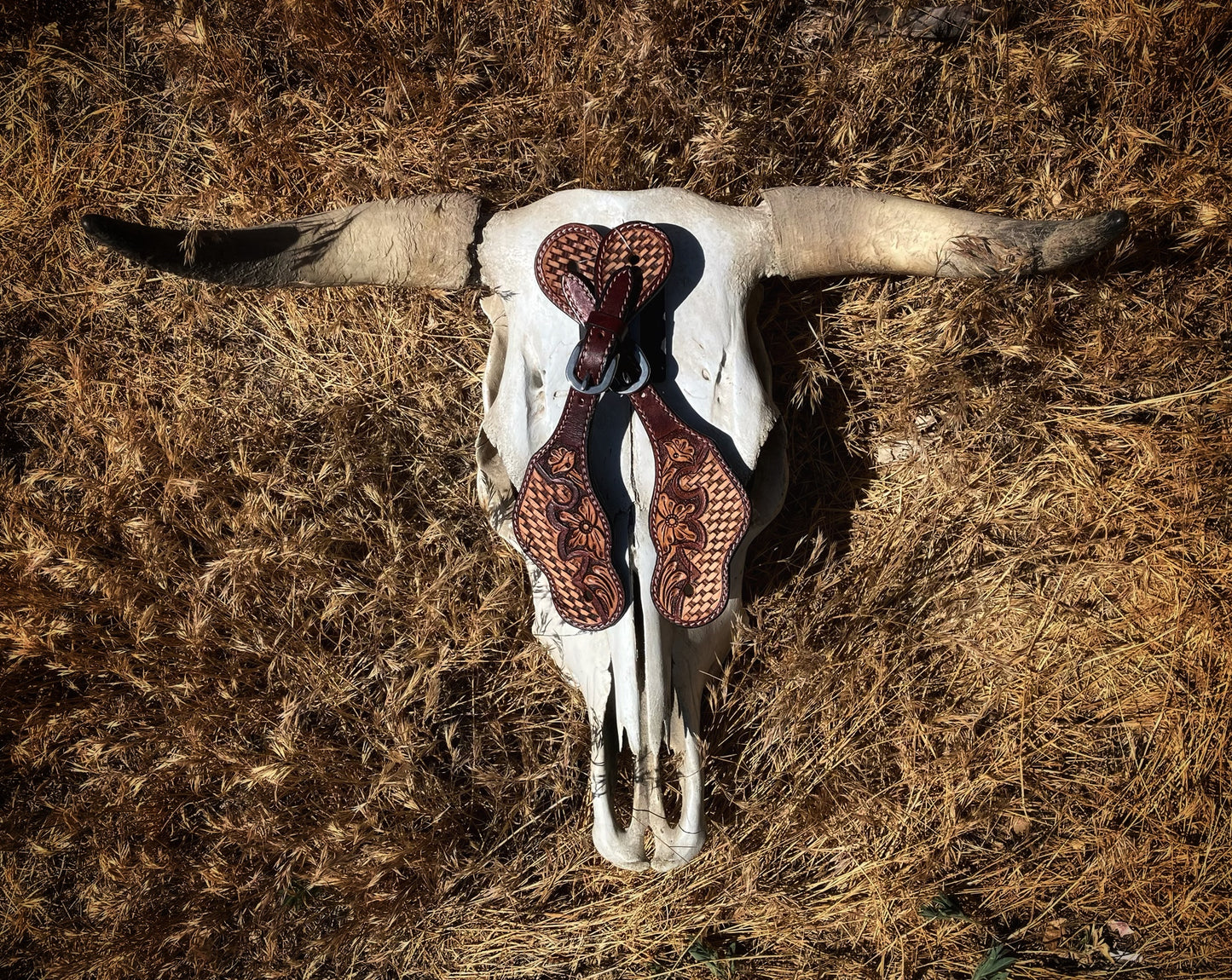 Leather Spur Straps